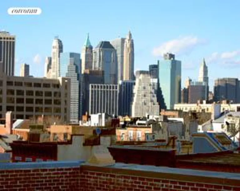 New York City Real Estate | View 100 Atlantic Avenue, 2J | Roof Deck | View 2