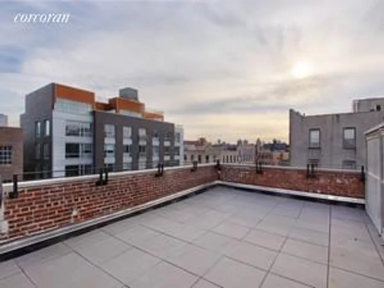New York City Real Estate | View 234 North 9th Street, 3D | Large private roof terrace | View 4
