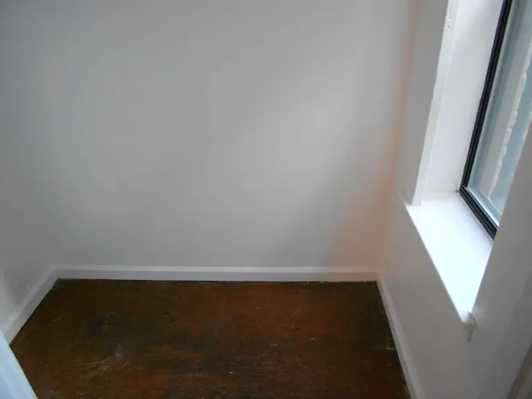 New York City Real Estate | View 269 Prospect Place, 3E | walkin closet. possible small office wit | View 4