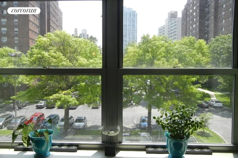 New York City Real Estate | View 218 Myrtle Avenue, 4L | I see trees out my window | View 8