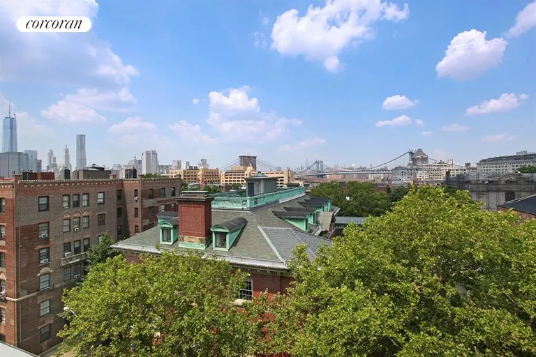New York City Real Estate | View 50 Orange Street, 1B | Roof Deck | View 4