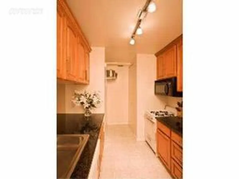 New York City Real Estate | View 350 West 50th Street, TH1I | room 2 | View 3