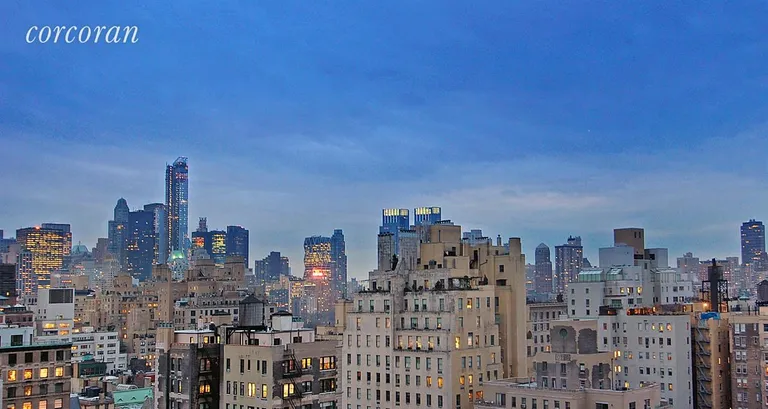 New York City Real Estate | View 784 Park Avenue, 19C | room 7 | View 8