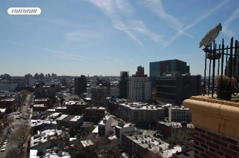 New York City Real Estate | View 101 Lafayette Avenue, 17 E | room 7 | View 8