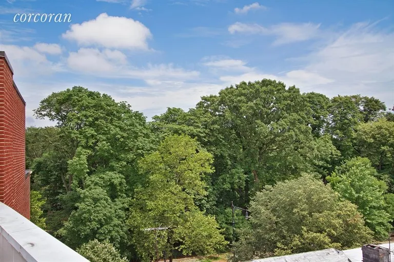 New York City Real Estate | View 167 Prospect Park SW, 2B | View | View 9