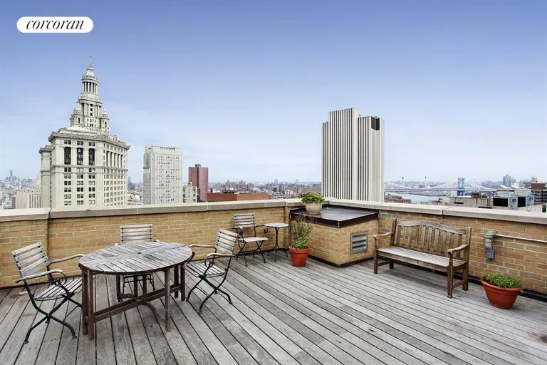 New York City Real Estate | View 150 Nassau Street, 6E | Roof Deck | View 11