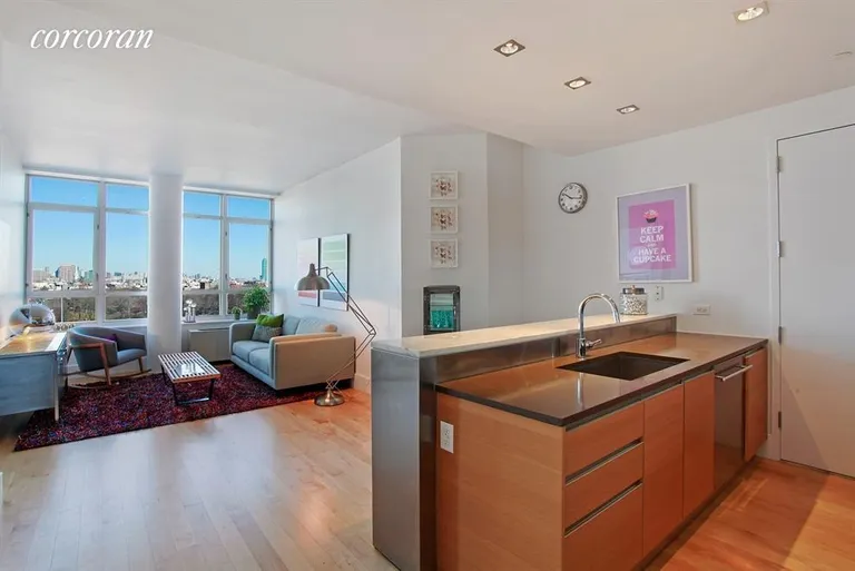 New York City Real Estate | View 20 Bayard Street, 8C | Kitchen / Living Room | View 10