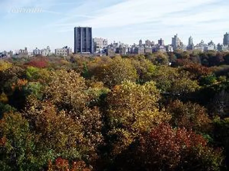 New York City Real Estate | View 415 Central Park West, 11A | room 1 | View 2