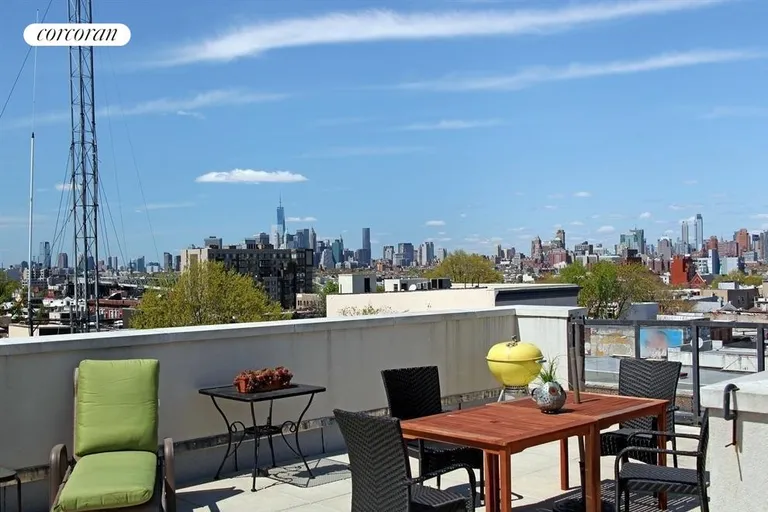 New York City Real Estate | View 226 15th Street, 2E | Fabulous shared roof with 360 views | View 4