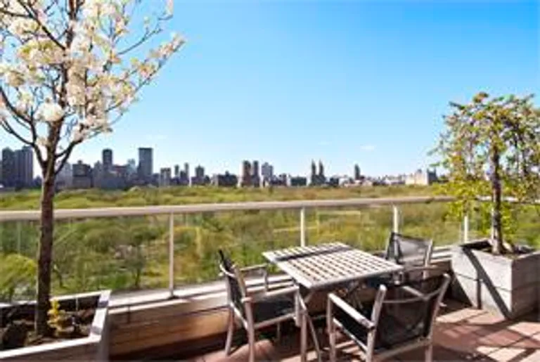 New York City Real Estate | View 860 Fifth Avenue, 19/20B | Terrace | View 3
