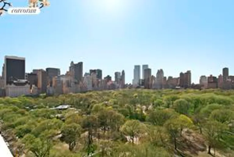New York City Real Estate | View 860 Fifth Avenue, 19/20B | Central Park Views | View 5