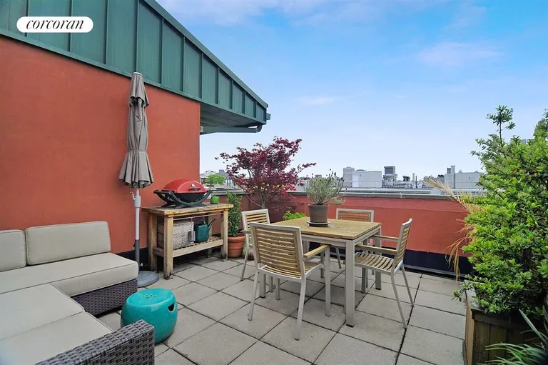 New York City Real Estate | View 565 Carroll Street, 9 | Terrace | View 4