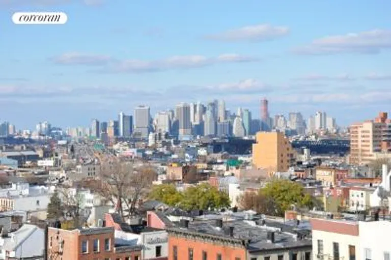 New York City Real Estate | View 259 21st Street, BJ | View from roof deck | View 6
