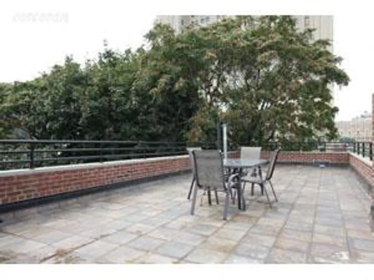 New York City Real Estate | View 122 Fort Greene Place, 4 | Private Roof Deck | View 3