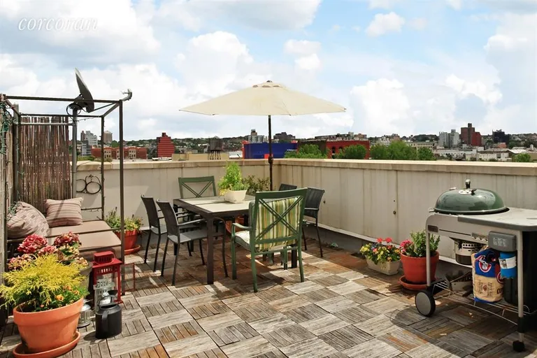 New York City Real Estate | View 361 Carroll Street, 1E | Roof Deck | View 7