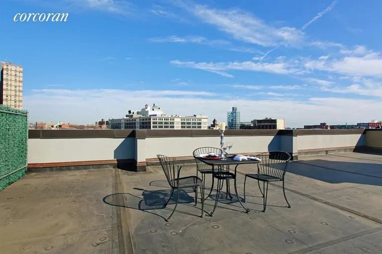 New York City Real Estate | View 618 Dean Street, 4A | Roof Deck | View 6