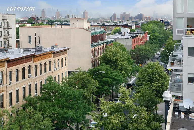 New York City Real Estate | View 225 Eastern Parkway, 6F | View | View 4