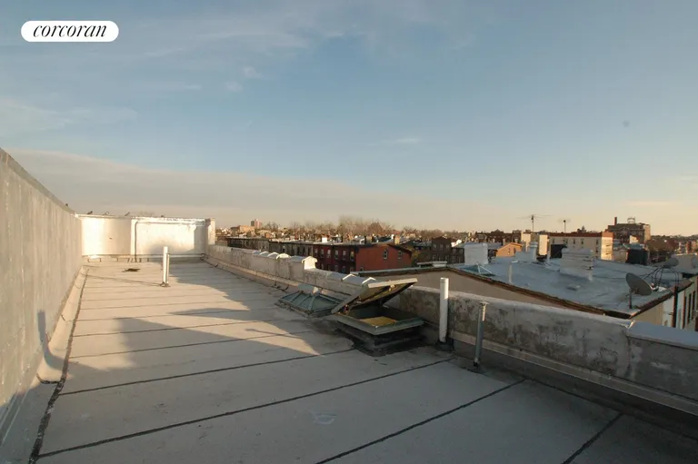 New York City Real Estate | View 442 Willoughby Avenue, 2 | room 6 | View 7