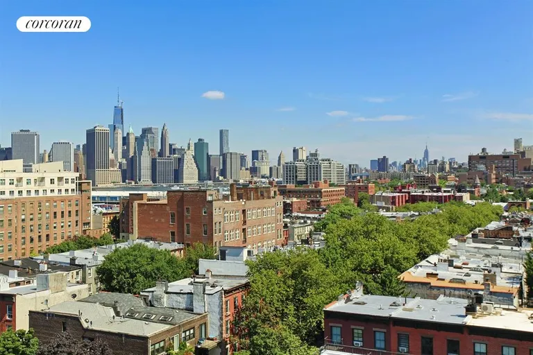 New York City Real Estate | View 492 Henry Street, 6C | Roof Deck | View 5