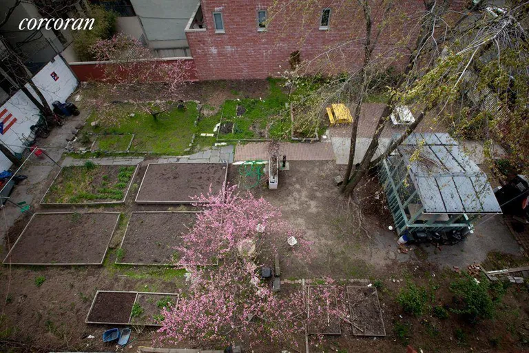 New York City Real Estate | View 427 East 117th Street | Community Garden on Next Door Lot | View 5