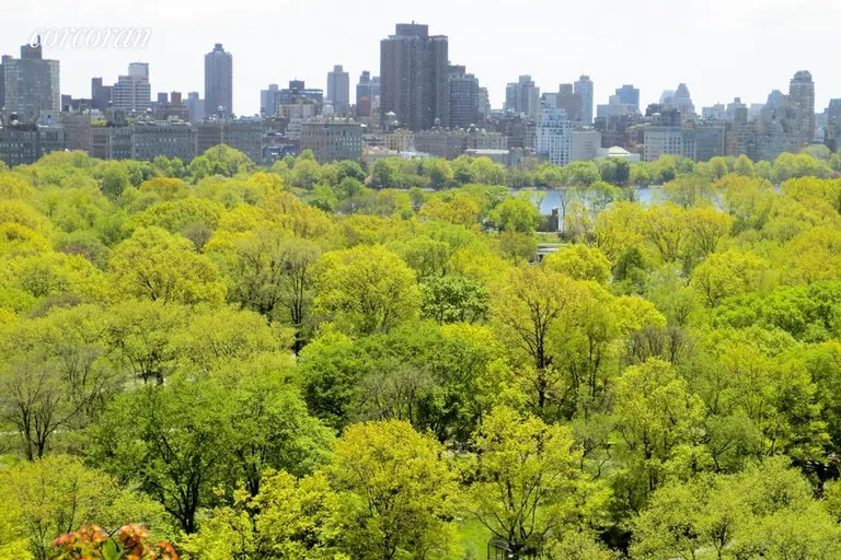 New York City Real Estate | View 392 Central Park West, 20R | room 2 | View 3