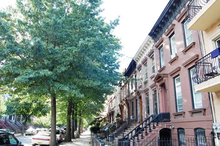 New York City Real Estate | View 1561 Pacific Street | Tree-lined block | View 2