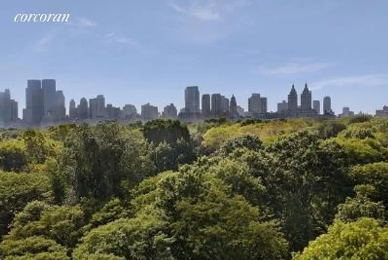 New York City Real Estate | View 988 Fifth Avenue, 8 FL | View | View 6