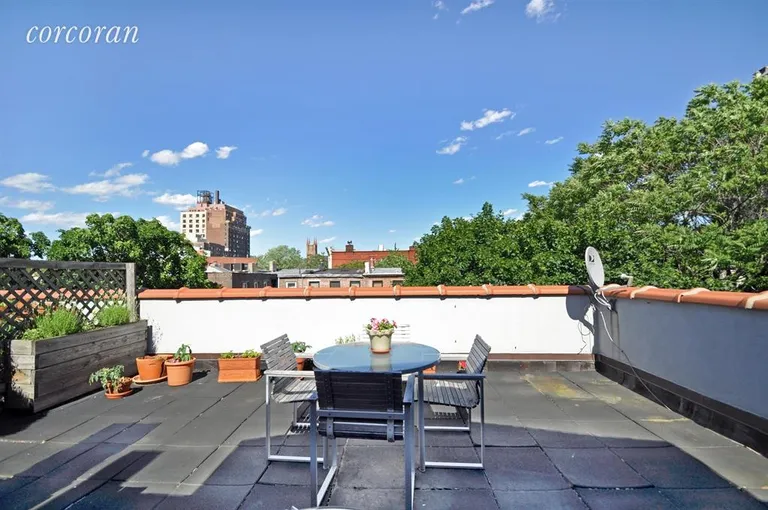New York City Real Estate | View 115 Fort Greene Place, 3C | 3rd level deck | View 5