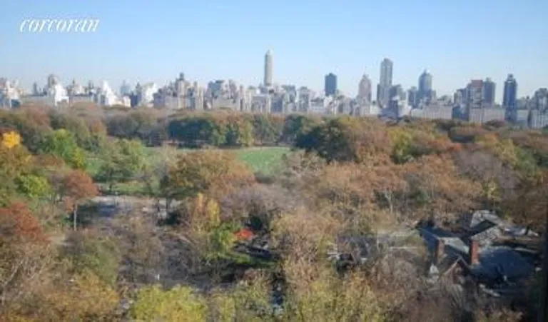 New York City Real Estate | View 65 Central Park West, 11D | 2 Beds, 2 Baths | View 1