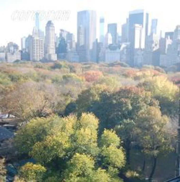 New York City Real Estate | View 65 Central Park West, 11D | room 1 | View 2