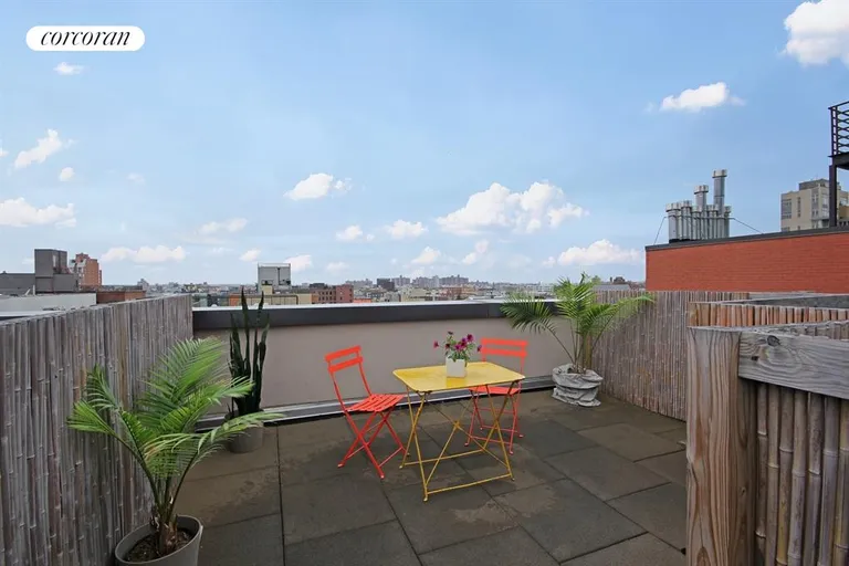 New York City Real Estate | View 70 Berry Street, 4F | Roof Deck | View 5