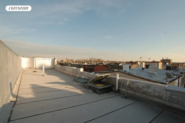 New York City Real Estate | View 442 Willoughby Avenue, 3 | room 7 | View 8