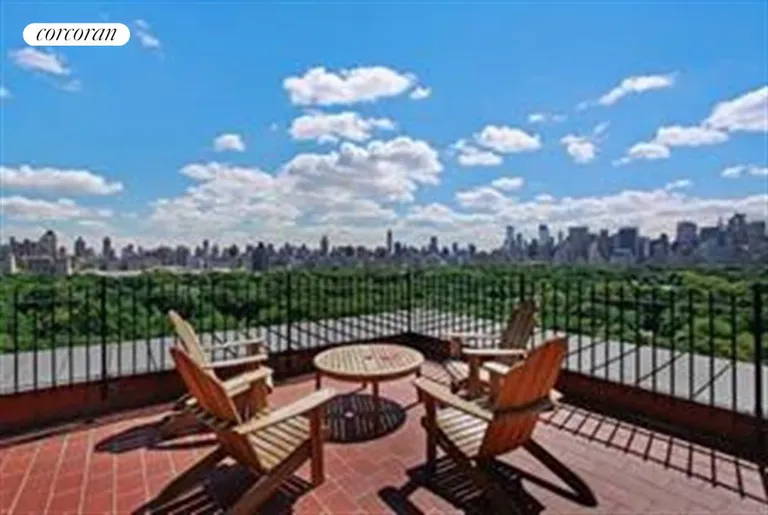 New York City Real Estate | View 230 Central Park West, 6LM | Roof Terrace | View 7