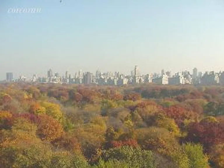 New York City Real Estate | View 25 Central Park West, 16M | 3 Beds, 2 Baths | View 1