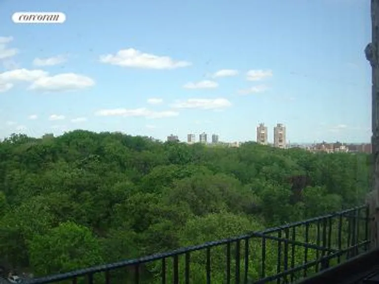 New York City Real Estate | View 418 Central Park West, 103 | Central Park | View 7