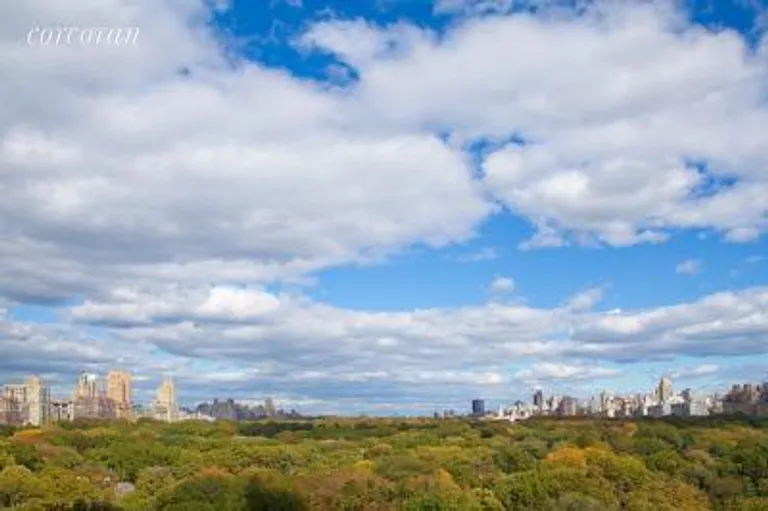 New York City Real Estate | View 160 Central Park South, 1201 | Spectacular Central Park Views | View 10