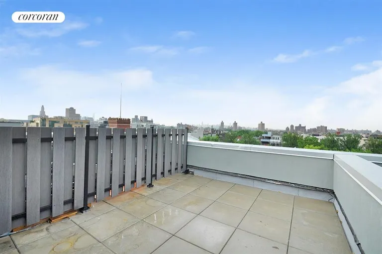 New York City Real Estate | View 816 Dean Street, 3C | Terrace | View 6
