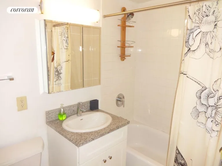 New York City Real Estate | View 218 Myrtle Avenue, 9I | Master Bathroom | View 6