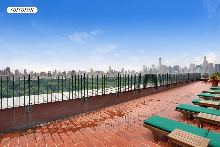 New York City Real Estate | View 230 Central Park West, 2C | Rooftop Terrace looking South | View 7