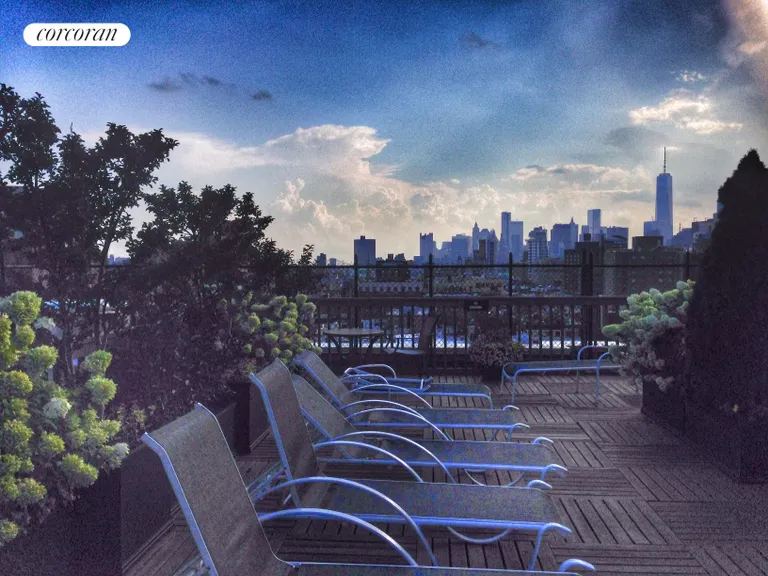 New York City Real Estate | View 230 East 15th Street, 2K | Building Common Roof Deck, Facing South | View 4