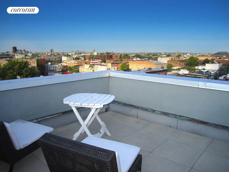New York City Real Estate | View 818 Dean Street, 3A | room 2 | View 3