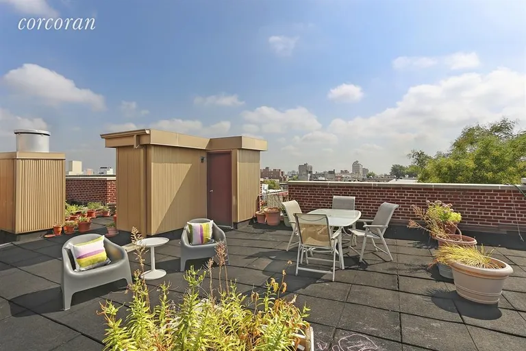 New York City Real Estate | View 338 Prospect Place, 5E | Roof Deck | View 6