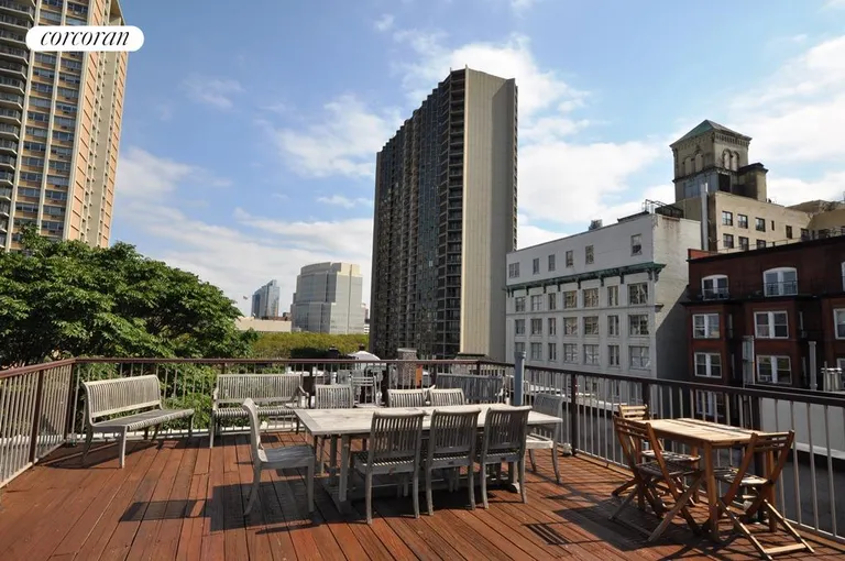 New York City Real Estate | View 59 Pineapple Street, 2G | Common Roof Deck | View 10