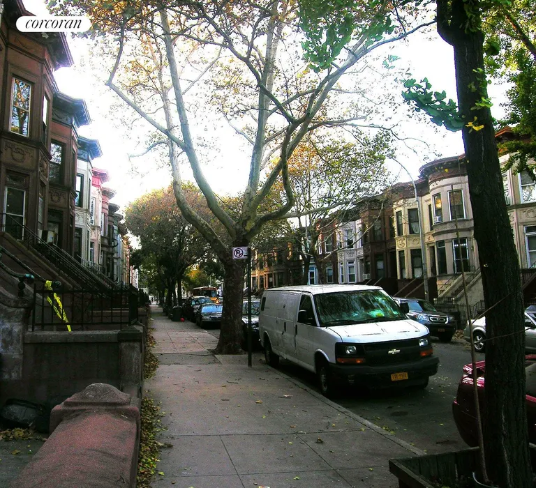 New York City Real Estate | View 924 Lincoln Place | Tree-lined street | View 12