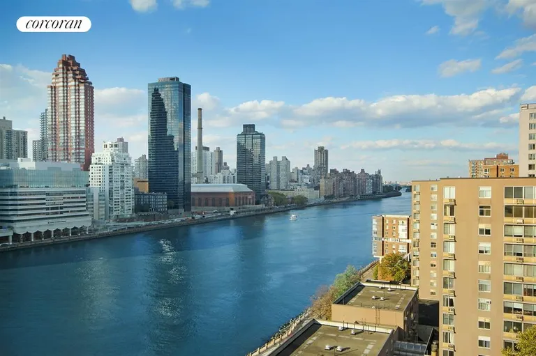 New York City Real Estate | View 531 Main Street, 1225 | 1 Bed, 1 Bath | View 1