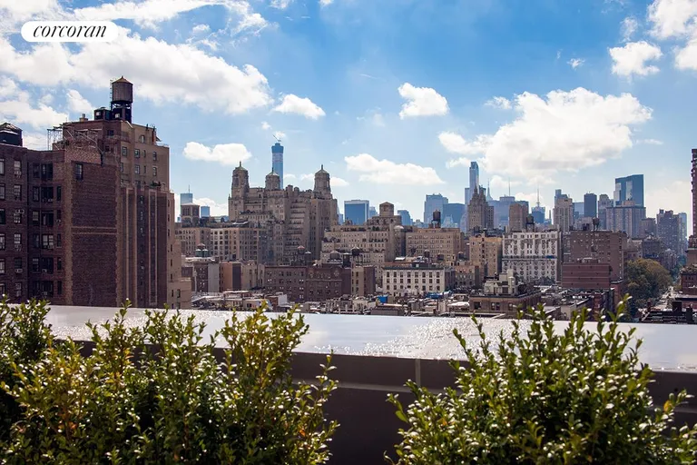 New York City Real Estate | View 101 West 87th Street, 305 | Common roof terrace w/unobstructed downtown views | View 9