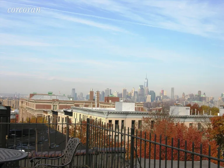 New York City Real Estate | View 564 5th Street, 4 | Manhattan Skyline View from Roof | View 12