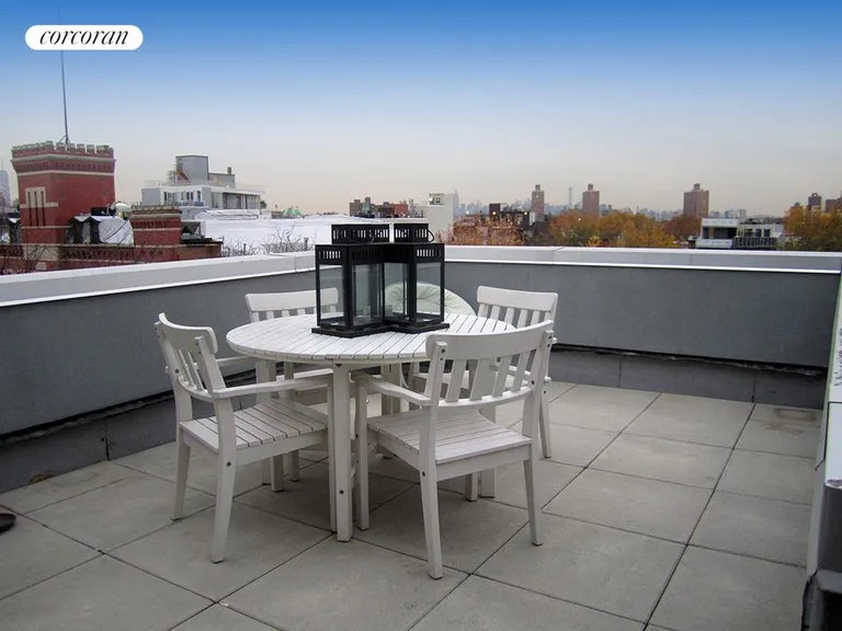 New York City Real Estate | View 816 Dean Street, 4B | Terrace off living room | View 2