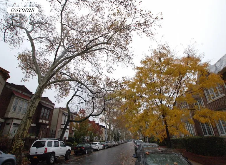 New York City Real Estate | View Sterling Street, #2 | Tree-lined block | View 16