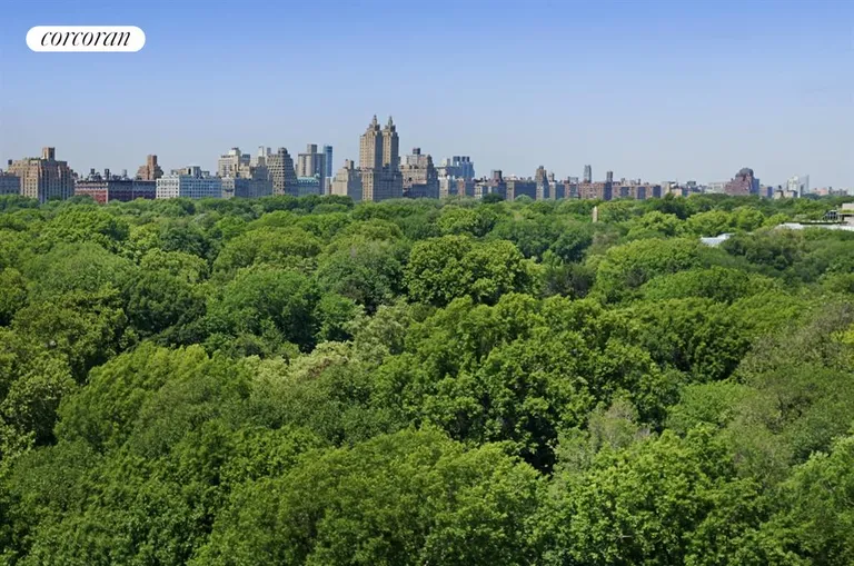 New York City Real Estate | View 930 Fifth Avenue, 15c | View from Living room, Dining and Kitchen | View 9